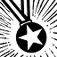 Bronze Star icon