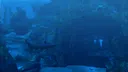 Tomb Raider: Underworld Screenshot 2