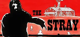 The Stray