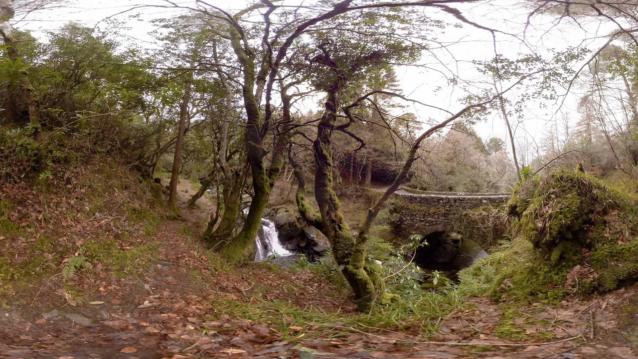 Ireland | Experience | 360° Video | 6K/2D Screenshot 11