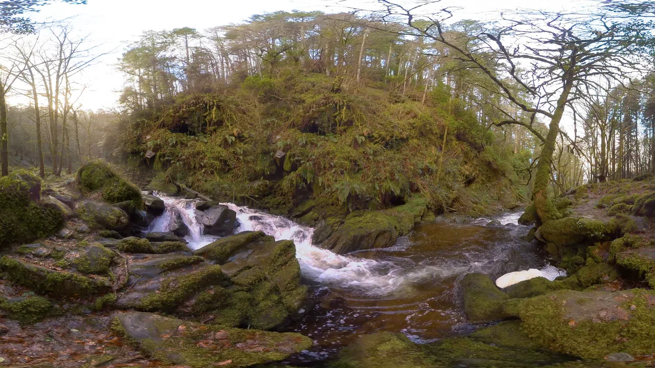 Ireland | Experience | 360° Video | 6K/2D Screenshot 12