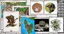 Fantasy Grounds - D&D The Tortle Package Screenshot 4