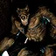 Kill the Werewolf icon