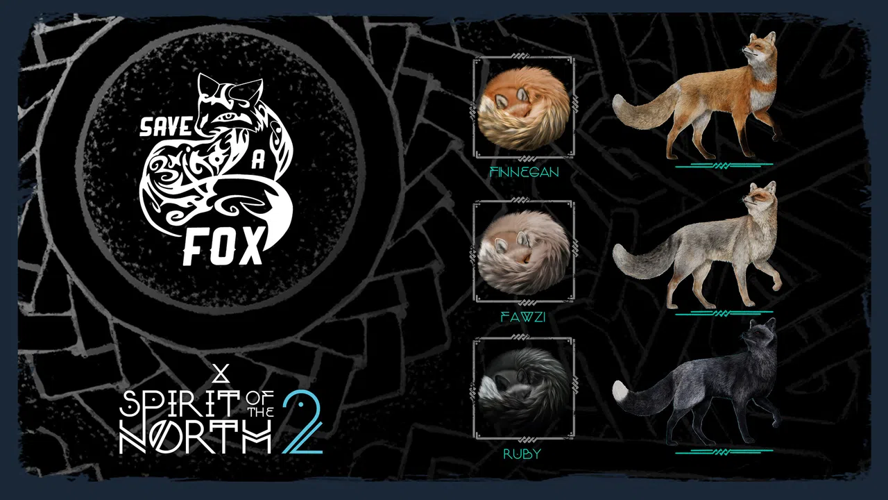 Spirit of the North 2: SaveAFox Pack Screenshot 0