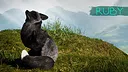 Spirit of the North 2: SaveAFox Pack Screenshot 4