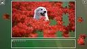 Super Jigsaw Puzzle: Generations - Random Puzzles 4 Screenshot 0