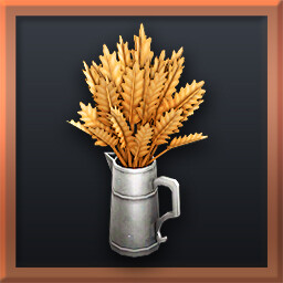 Aesthetic Concerns icon