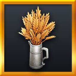 Aesthetic Concerns icon