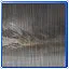 It's Raining icon