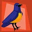 Aviary Friend icon