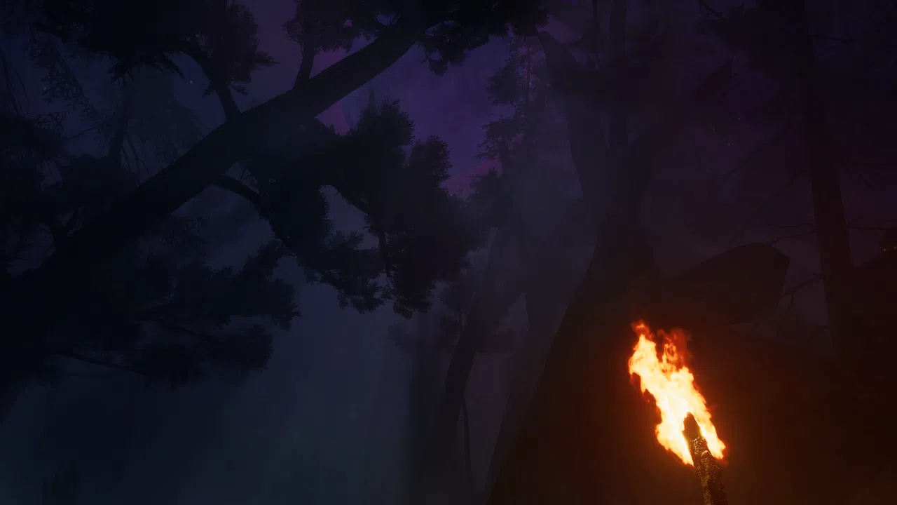 Finsterwald Screenshot 6