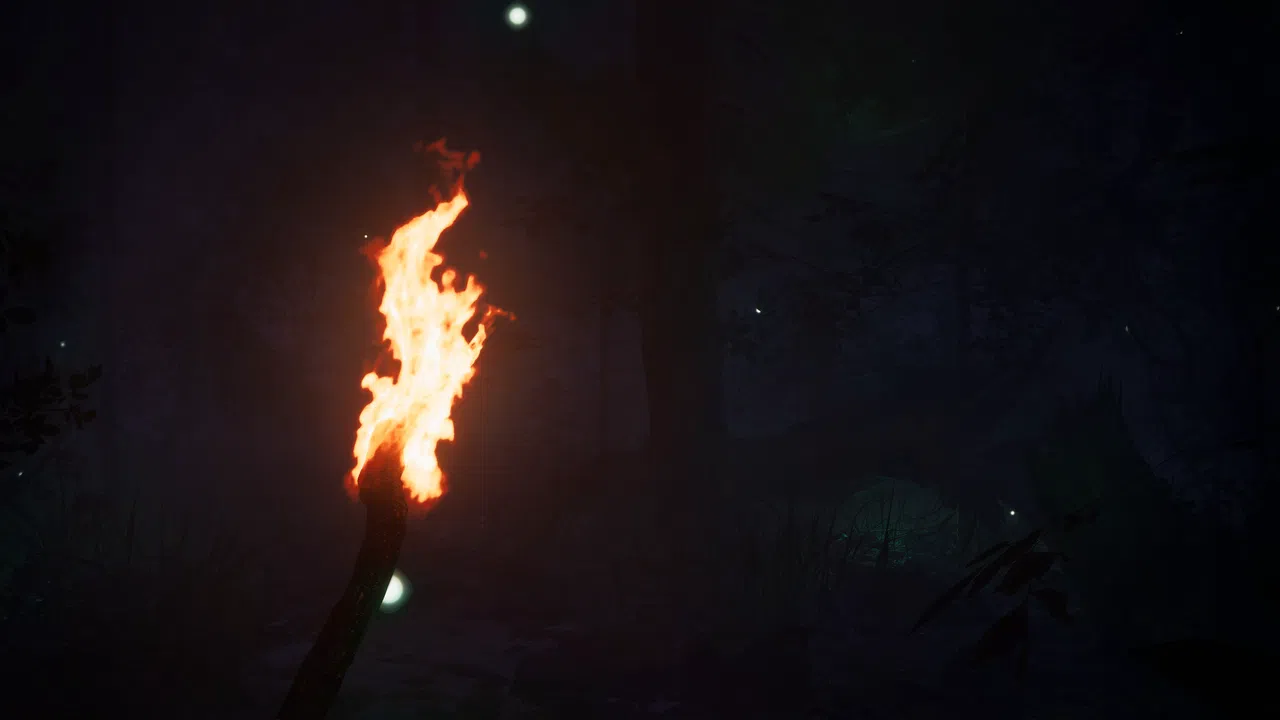 Finsterwald Screenshot 3