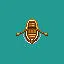 Canoe Access icon
