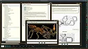 Fantasy Grounds - The Lost Crypt Screenshot 1