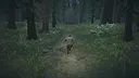 Tartaria: The forgotten tale Screenshot 0