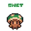 Level_11_swet icon
