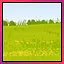 Grassland Dragons Revealed icon