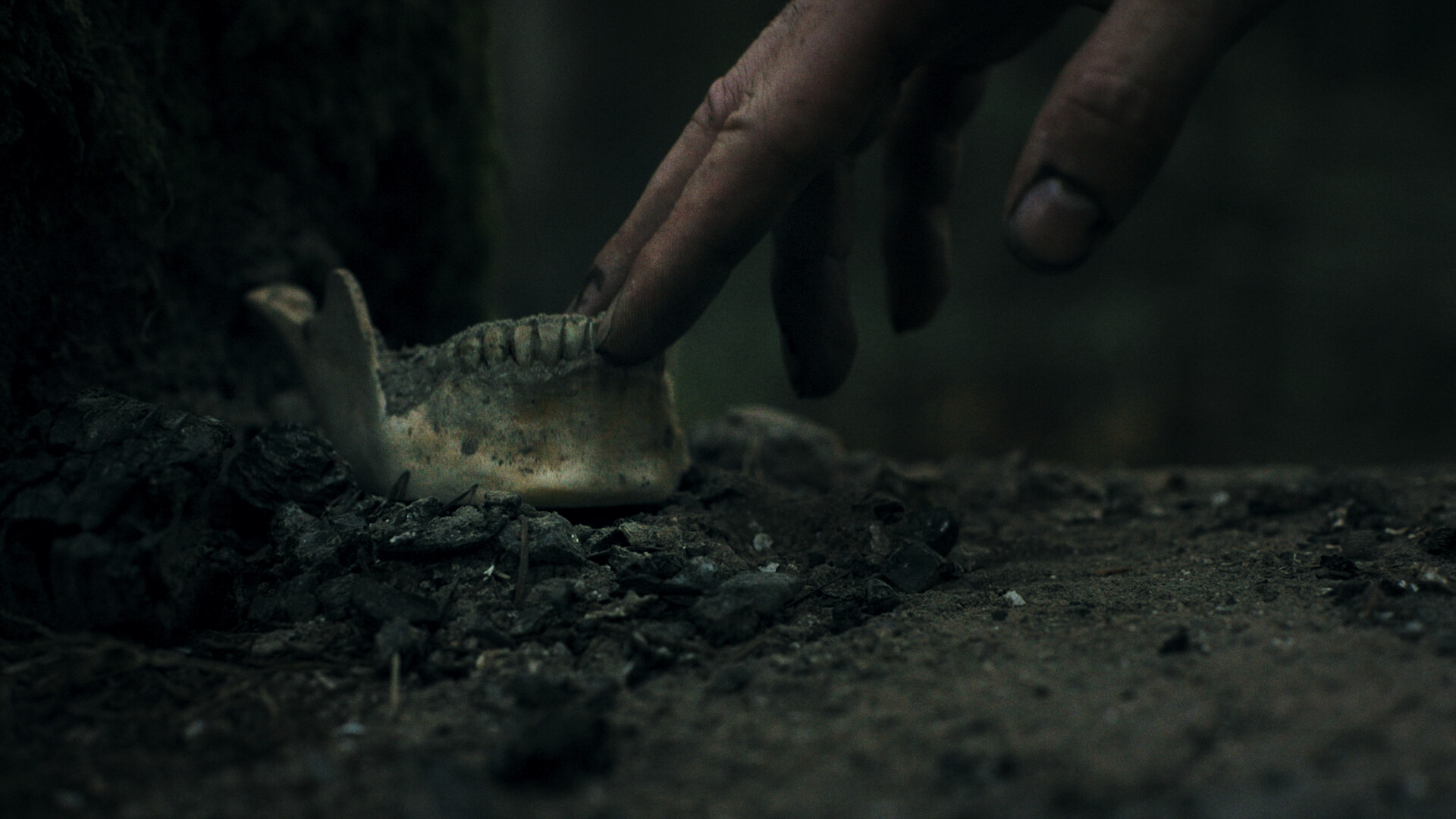 Heart of the Forest Screenshot 7