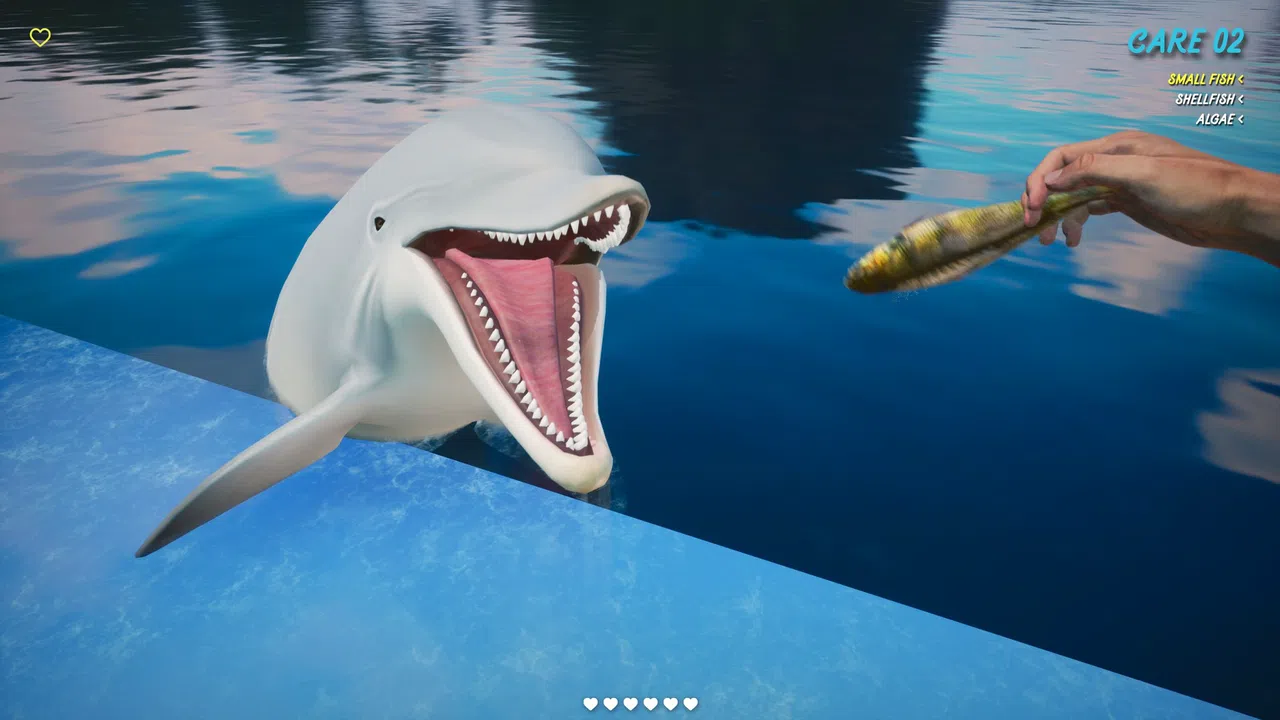 Dolphin Trainer VR Screenshot 2