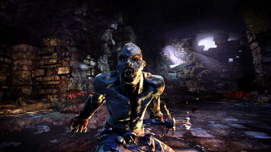 Hunted: The Demon’s Forge™ Screenshot 1