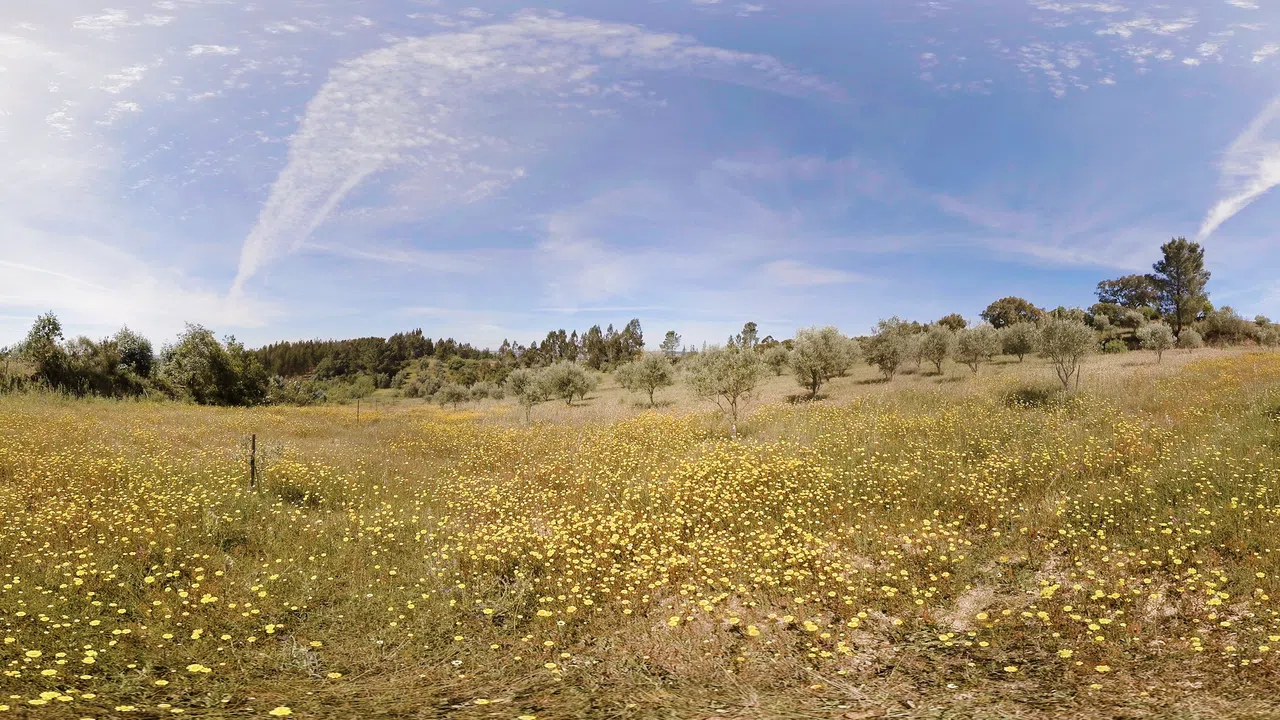 Portugal | Sphaeres VR Experience | 360° Video | 6K/2D Screenshot 4