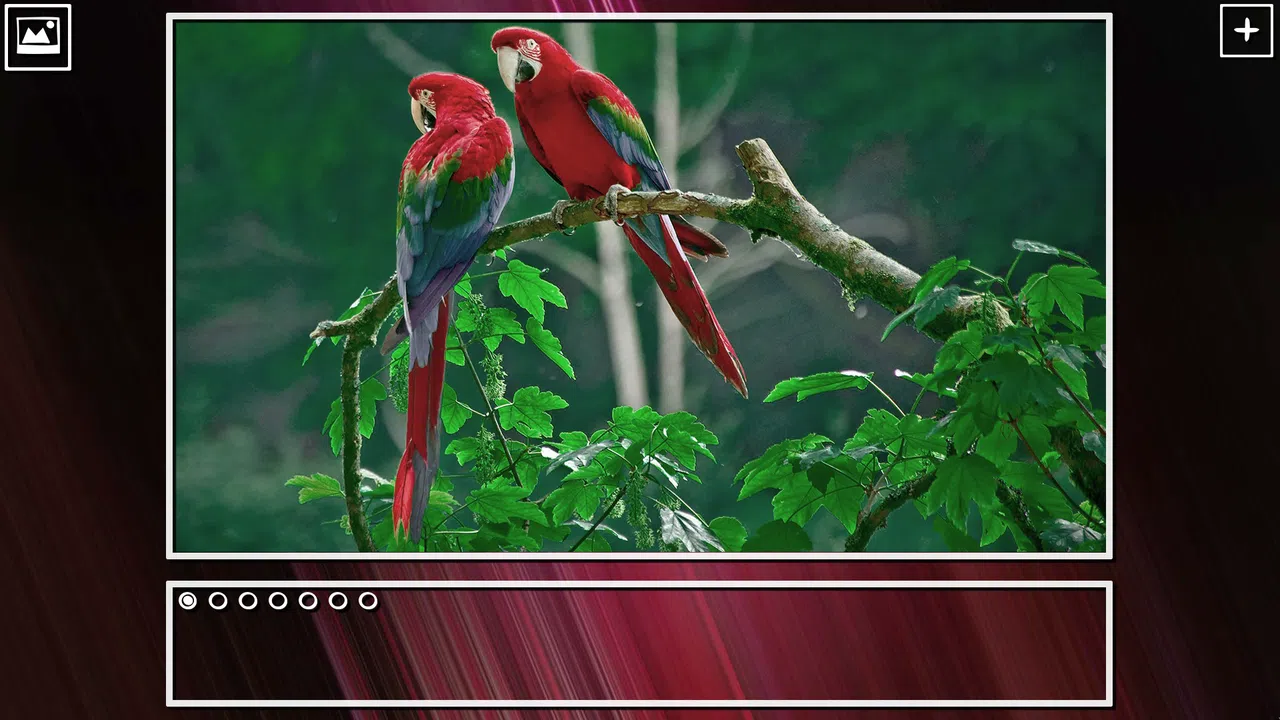 Super Jigsaw Puzzle: Generations - Birds Puzzles Screenshot 5