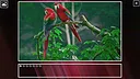 Super Jigsaw Puzzle: Generations - Birds Puzzles Screenshot 5