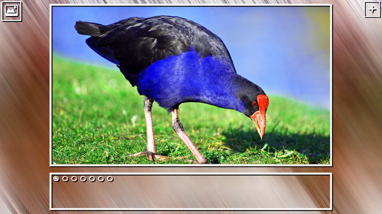 Super Jigsaw Puzzle: Generations - Birds Puzzles Screenshot 12