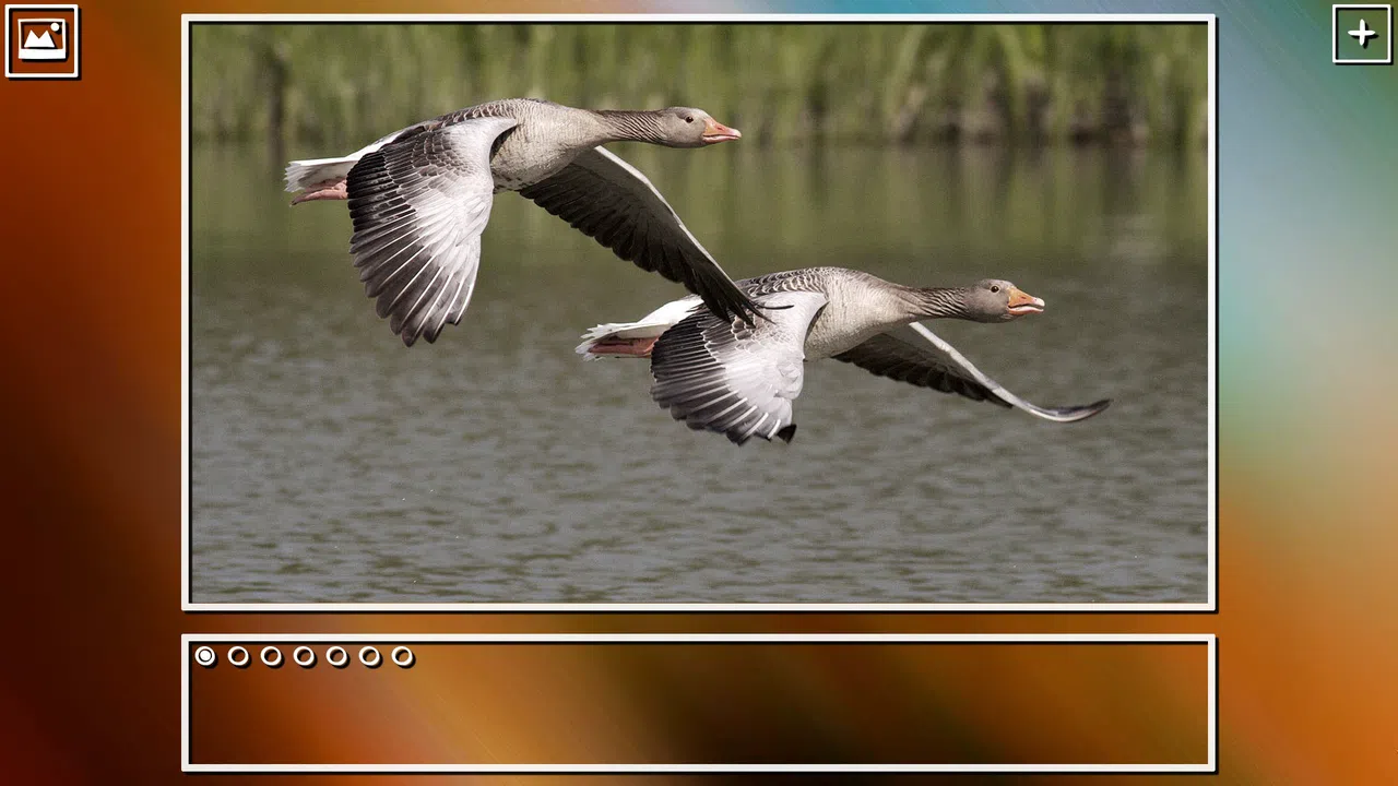 Super Jigsaw Puzzle: Generations - Birds Puzzles Screenshot 13
