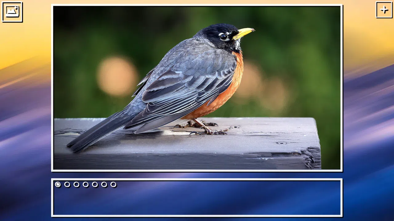 Super Jigsaw Puzzle: Generations - Birds Puzzles Screenshot 10
