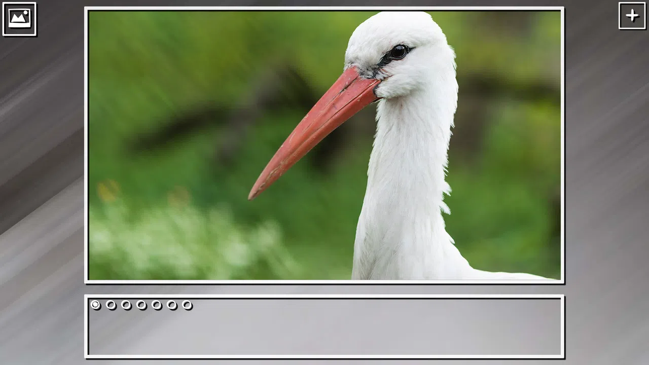 Super Jigsaw Puzzle: Generations - Birds Puzzles Screenshot 1