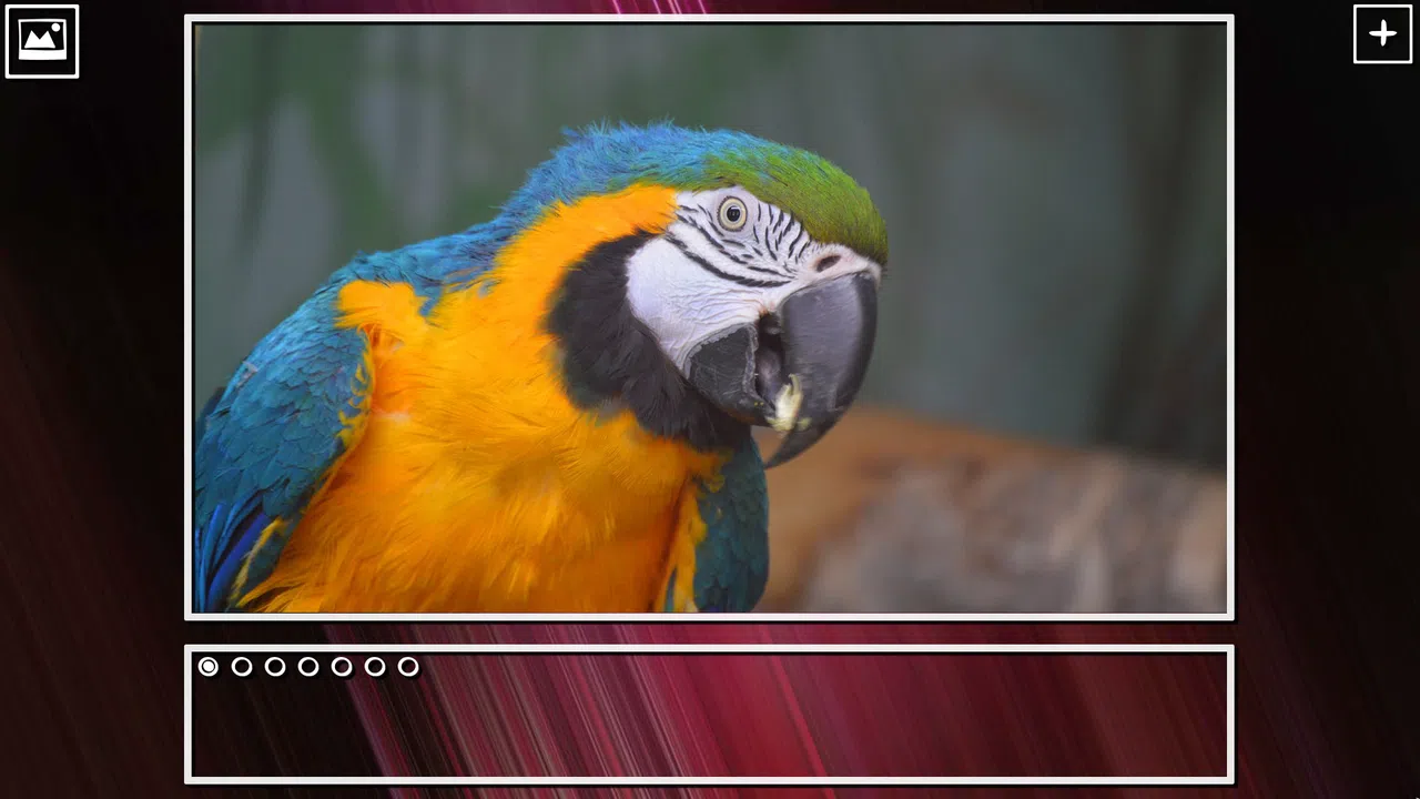 Super Jigsaw Puzzle: Generations - Birds Puzzles Screenshot 17