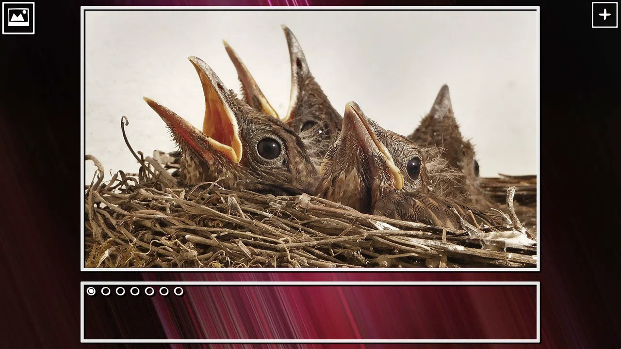 Super Jigsaw Puzzle: Generations - Birds Puzzles Screenshot 6