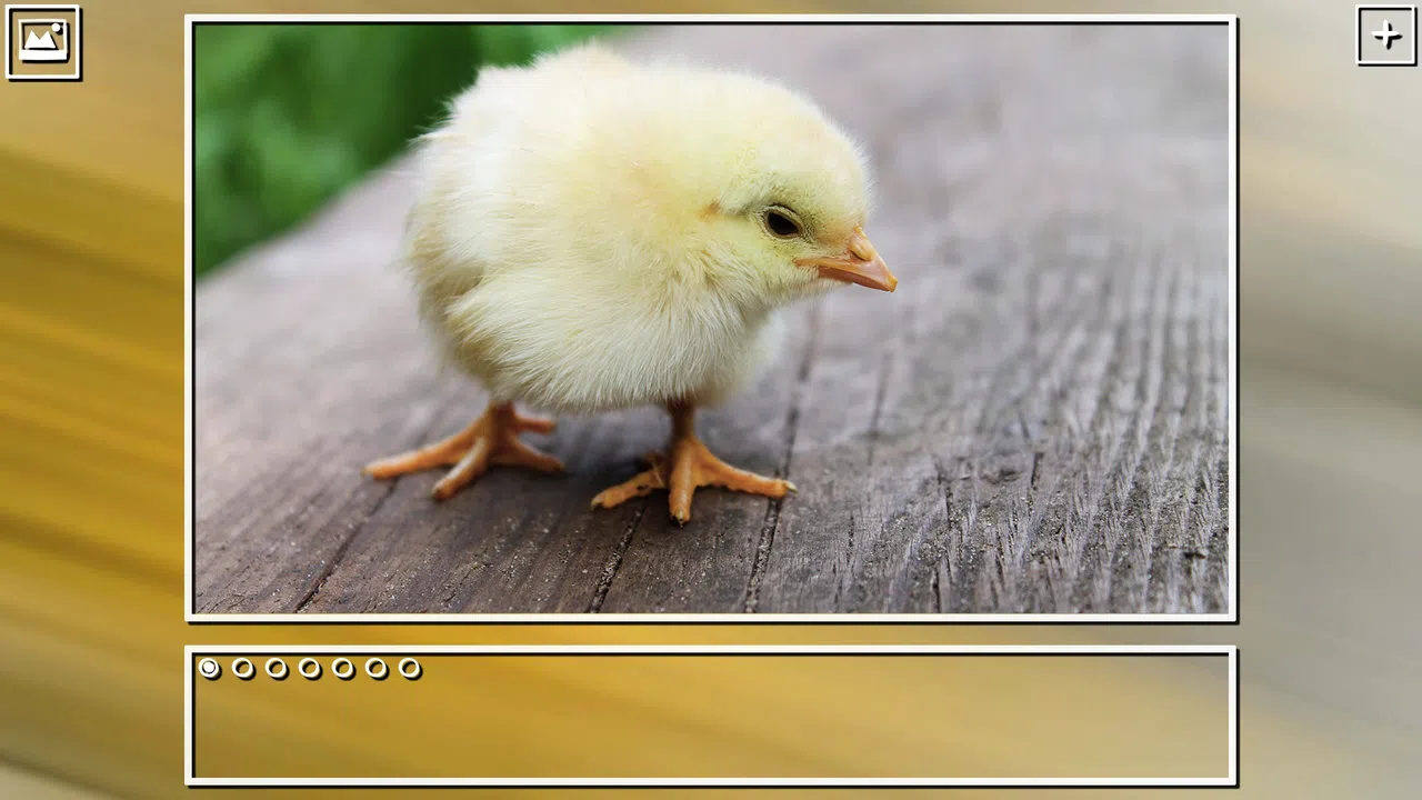 Super Jigsaw Puzzle: Generations - Birds Puzzles Screenshot 2