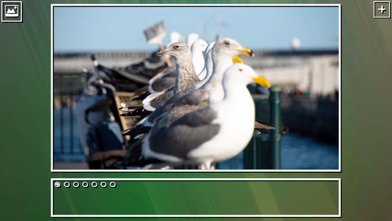 Super Jigsaw Puzzle: Generations - Birds Puzzles Screenshot 4