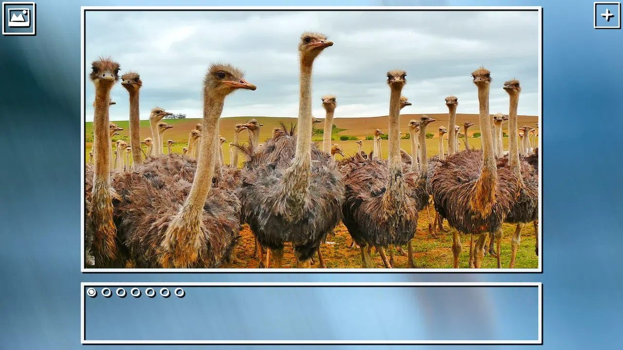 Super Jigsaw Puzzle: Generations - Birds Puzzles Screenshot 7