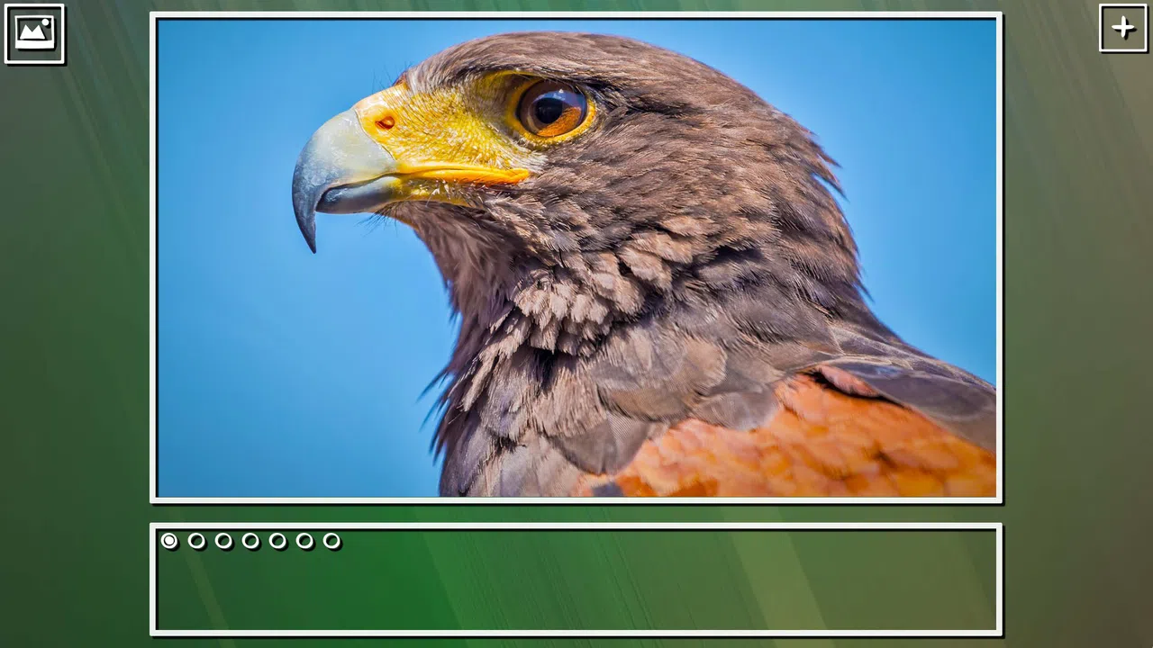Super Jigsaw Puzzle: Generations - Birds Puzzles Screenshot 16