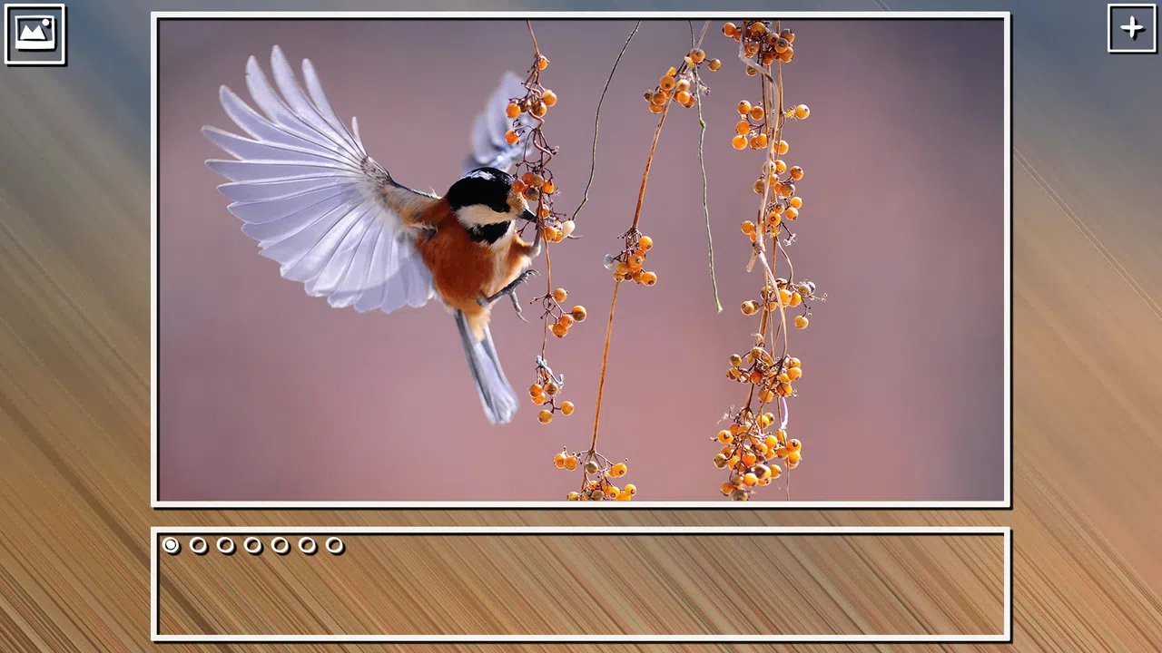 Super Jigsaw Puzzle: Generations - Birds Puzzles Screenshot 14