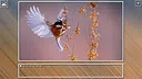 Super Jigsaw Puzzle: Generations - Birds Puzzles Screenshot 14