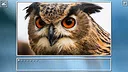 Super Jigsaw Puzzle: Generations - Birds Puzzles Screenshot 8