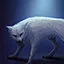 白狼 icon