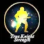 True Knight's Strength icon