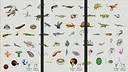 Jigsaw puzzle - Evolution Screenshot 5