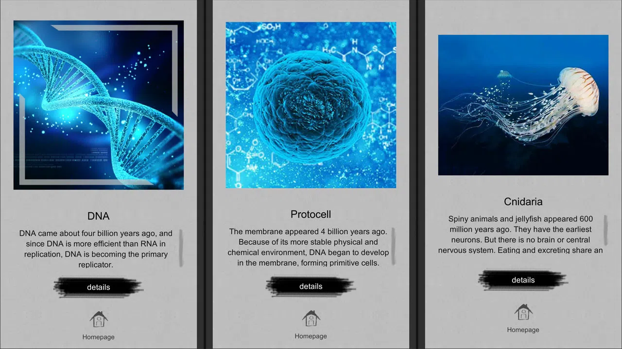 Jigsaw puzzle - Evolution Screenshot 0
