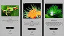 Jigsaw puzzle - Evolution Screenshot 1