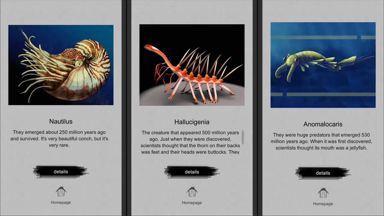 Jigsaw puzzle - Evolution Screenshot 4