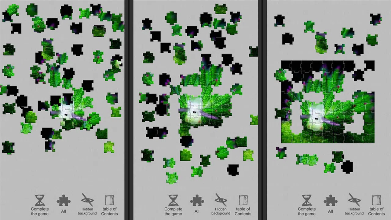 Jigsaw puzzle - Evolution Screenshot 2