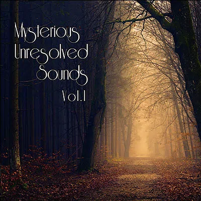 Visual Novel Maker - Mysterious Unresolved Sounds Vol.1 Screenshot 0
