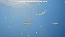 Sharkarama Screenshot 2