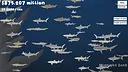 Sharkarama Screenshot 4